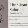 Photo of The Clean Solution