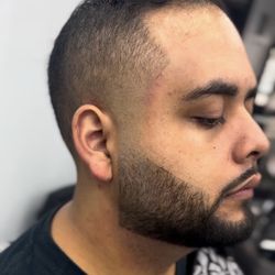 Avenue Fades
