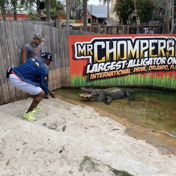 Gator Golf - Mini Golf Near Me - Orlando, Florida Gator Golf - Mini Golf Near Me - Orlando, Florida