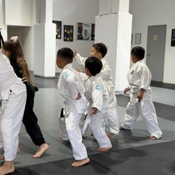 TFI - Our 6.5yo loves the kids class