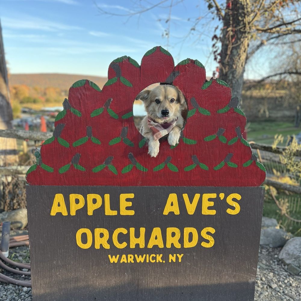 Apple Dave’s Orchards - By the winery - Fruits & Veggies Near Me - Warwick, New York