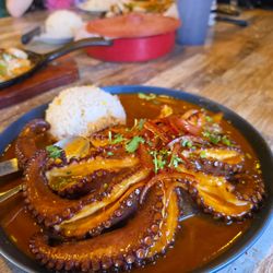 Las Islas Marias - Octopus