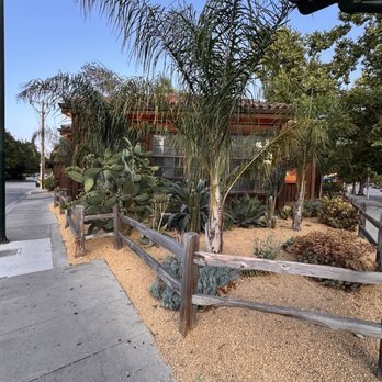 Bar Camino - Mexican Near Me - Walnut Creek, California Bar Camino - Mexican Near Me - Walnut Creek, California
