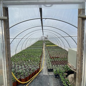 Groovy Plants Ranch - Nurseries & Gardening Near Me - Marengo, Ohio