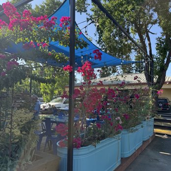 Mezcal Grill - Bougainvilleas in the patio area. - Mexican Near Me - Sacramento, California