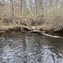 Photo of Jersey Devil Marina