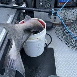 In the Zone Fishing - Filling up... fall 2022
