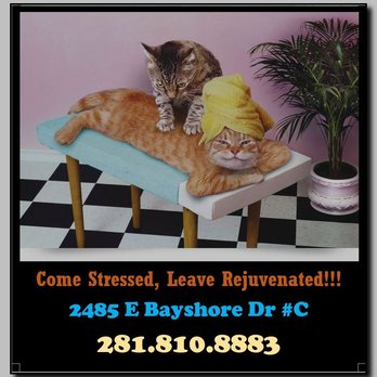San Leon Massage - Beauty & Spas Near Me - Dickinson, Texas San Leon Massage - Beauty & Spas Near Me - Dickinson, Texas