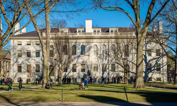 Harvard University by null