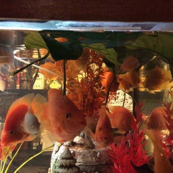 Lac Hong - Smiling fish tank - Vietnamese Near Me - Paris, 75 Lac Hong - Smiling fish tank - Vietnamese Near Me - Paris, 75