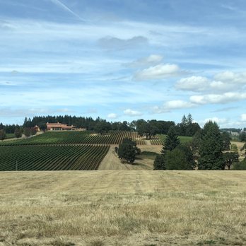 Archery Summit - Wine Tours Near Me - Dayton, Oregon