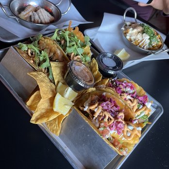 ABVE The Basics - Pork belly tacos, shrimp tacos, fish tacos, fried elotes and mini churros - New Mexican Cuisine Near Me - San Jose, California ABVE The Basics - Pork belly tacos, shrimp tacos, fish tacos, fried elotes and mini churros - New Mexican Cuisine Near Me - San Jose, California