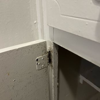 Tanglewood Apartments - Roach poop - Apartments Near Me - Eustis, Florida