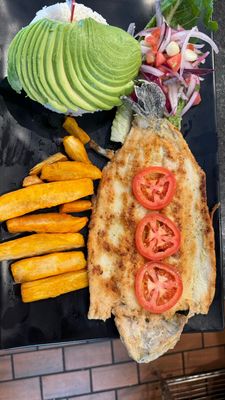 Don Pollo Metropolitan by null