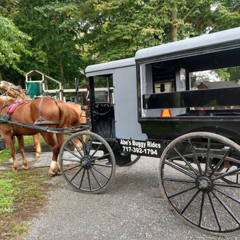 Abe's Buggy Rides - Another fine buggy waiting. - Tours Near Me - Bird In Hand, Pennsylvania Abe's Buggy Rides - Another fine buggy waiting. - Tours Near Me - Bird In Hand, Pennsylvania