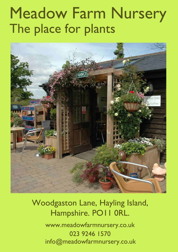 MEADOW FARM NURSERY Updated October 2024 Woodgason Lane, Hayling