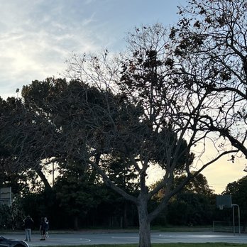 Kirk Park - Parks Near Me - San Jose, California Kirk Park - Parks Near Me - San Jose, California