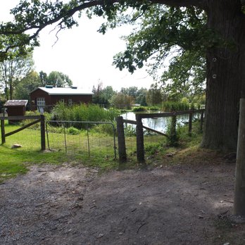 Green Acres Day Camp - Summer Camps Near Me - Markham, Ontario