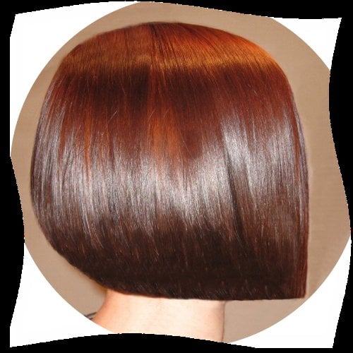 Hair Ludwig Logo