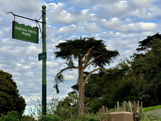 Buena Vista Park by null