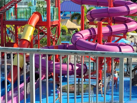 FLAMINGO WATERPARK RESORT - Updated January 2025 - 197 Photos & 182