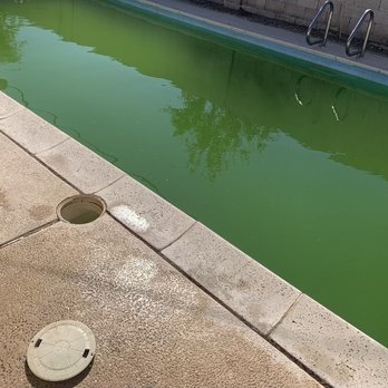 Just Add Water Pool Cleaning Service - My green pool before. - Pool Cleaners Near Me Just Add Water Pool Cleaning Service - My green pool before. - Pool Cleaners Near Me