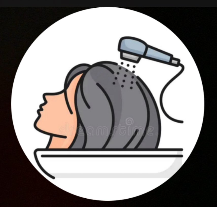 Take Out Wash and Braid Logo