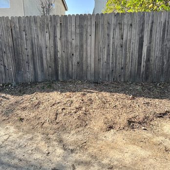 Ace tree service - After - Tree Services Near Me - Folsom, California Ace tree service - After - Tree Services Near Me - Folsom, California