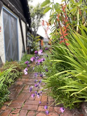 Manzanita Cottages by null