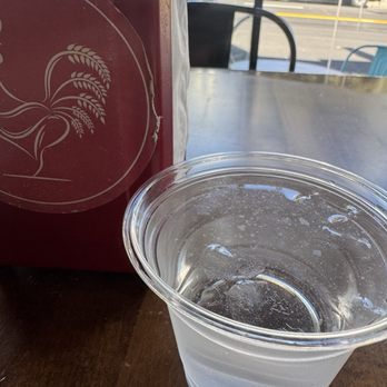 Gai Chicken Rice - Greasy floors, greasy water from the pitchers - Thai Near Me - San Francisco, California