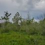 Photo of Big Creek Greenway Halcyon Trailhead