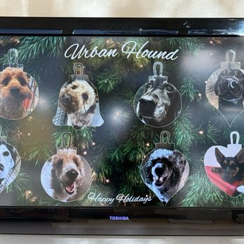 Urban Hound - Zoe & Ruby - Pet Groomers Near Me - Reno, Nevada