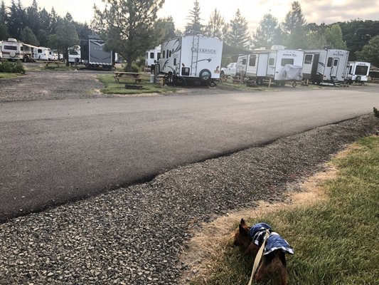 Albany / Corvallis KOA Journey by null