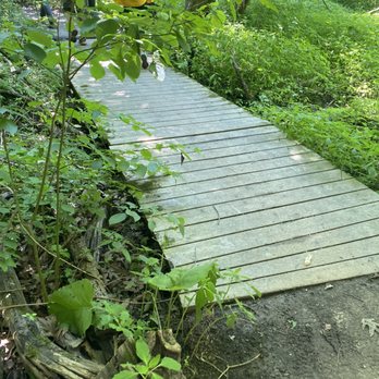Oak Ridges Corridor Conservation Reserve - Hiking Near Me - Richmond Hill, Ontario