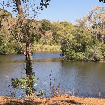 Peterson Park - serene view - Parks Near Me - Lakeland, Florida Peterson Park - serene view - Parks Near Me - Lakeland, Florida