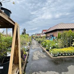 West Seattle Nursery