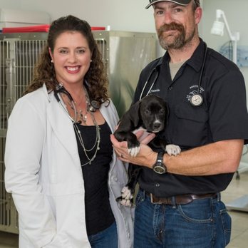 southeast veterinary clinic