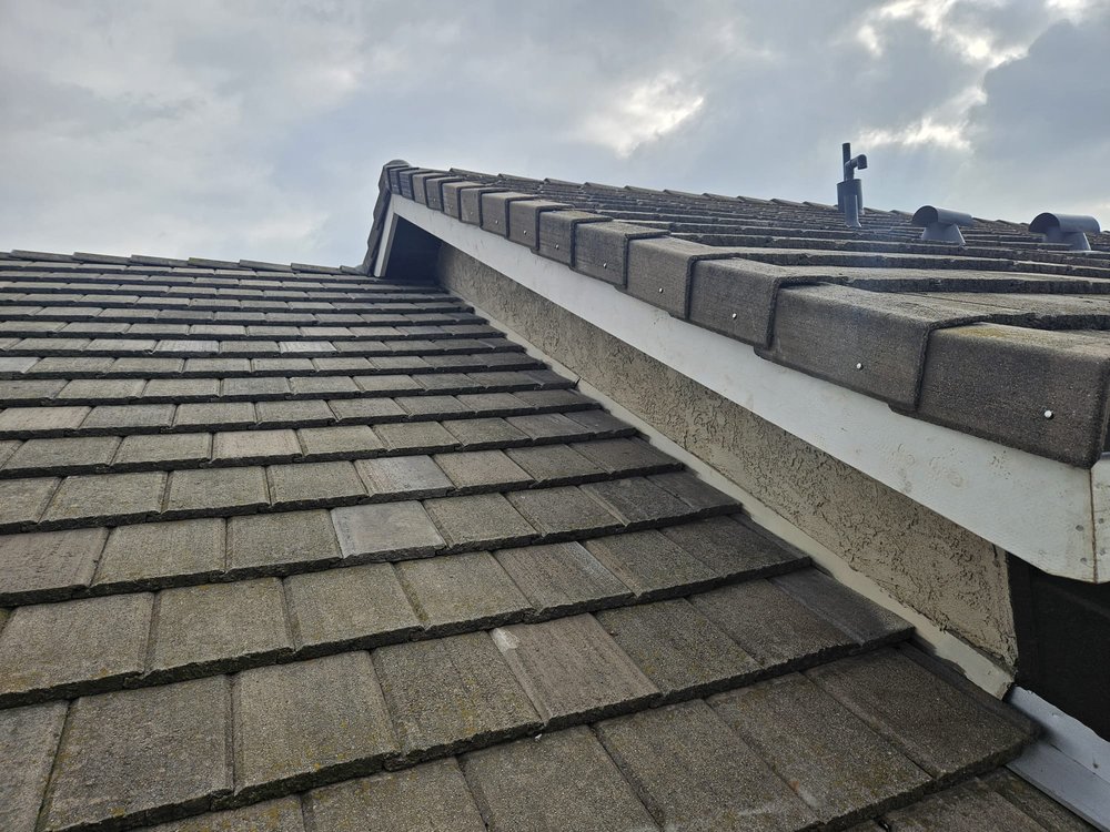 Slide of Royalty Finish