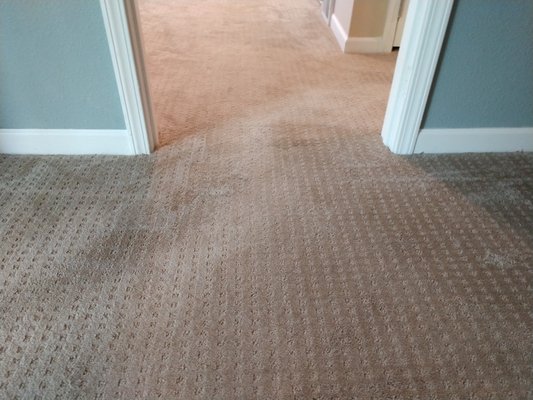 Carpet Stretch - Call us today ! Carpet Stretch - Call us today !