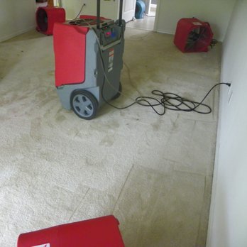 Carpet Color - Carpet Cleaning Near Me - Longwood, Florida Carpet Color - Carpet Cleaning Near Me - Longwood, Florida