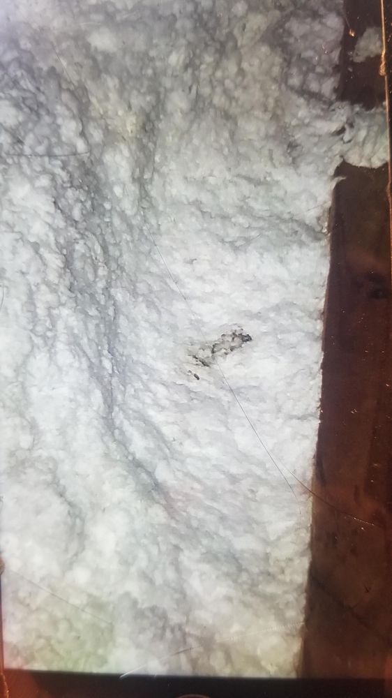 Slide of Braun's Roofing