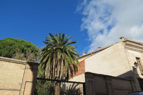 Monasterio de San Juan de los Reyes by null