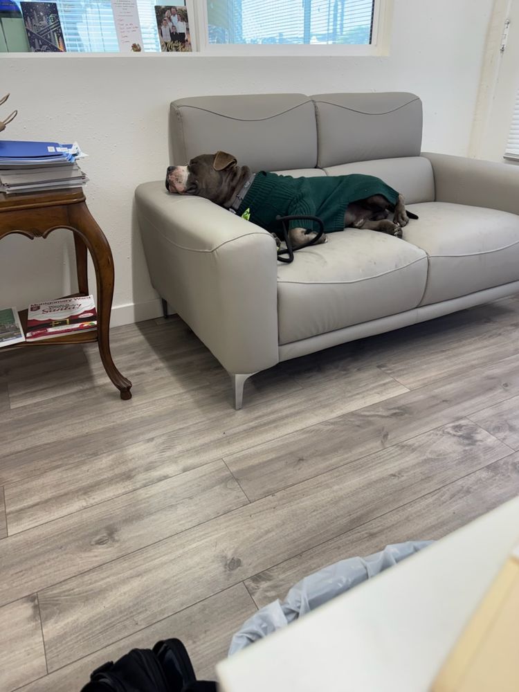 Slide of Avalon Roofing