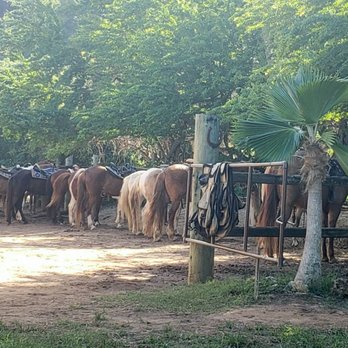 Tropical Trail Rides - Tours Near Me - Isabela, Puerto Rico