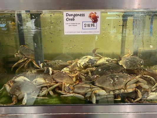 Pier 46 Seafood Co by null
