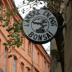 Bonsaï L'Arbre en Pot