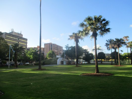 Prince Alfred Park by null