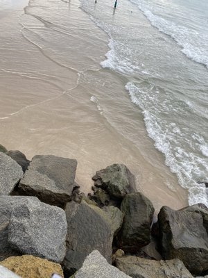 Sebastian Inlet State Park by null