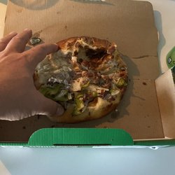 Papa Johns Pizza - This is what a Philly cheesesteak papadia looks like. Absolutely trash.
