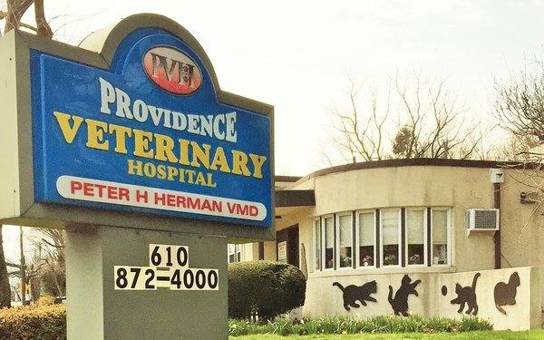 PROVIDENCE VETERINARY HOSPITAL Veterinarians 2400 Providence Ave